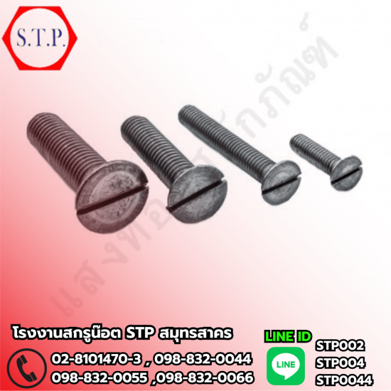 โรงงานผลิตสกรูน๊อต สั่งทำ - แสงทองสลักภัณฑ์ - รับผลิตสกรู ตามออเดอร์